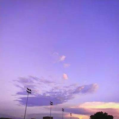 BOB半岛·体育官方平台